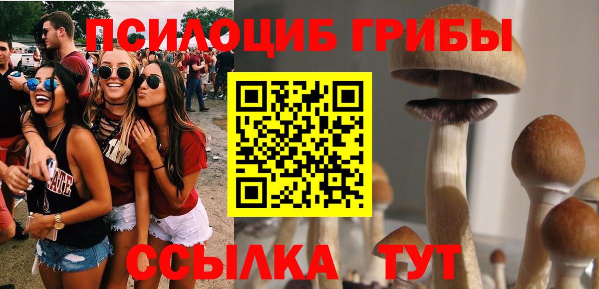 Псилоцибиновые грибы GOLDEN TEACHER Белово