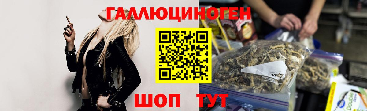 Псилоцибиновые грибы Cubensis  Вход с VPN  Белово 